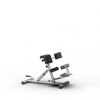 Скамья для гиперэкстензии Proxomed Compass MTT Trunk Trainer Combi в Новосибирске