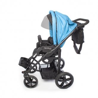 Детская прогулочная коляска ДЦП Liwcare Modi Buggy на раме Rico в Новосибирске