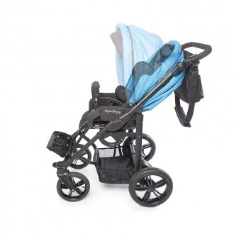 Детская прогулочная коляска ДЦП Liwcare Modi Buggy на раме Rico в Новосибирске