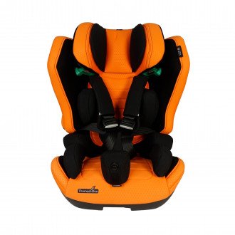 Детское автомобильное кресло ДЦП Thomashilfen RECARO Axion 1 Reha в Новосибирске