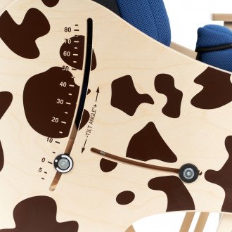 Детская комнатная кресло-коляска Akcesmed Dalmatian Invanto Dt-2 в Новосибирске