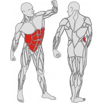 Тренажёр механотерапевтический для мышц пресса Hur Rehabilitation 5340 в Новосибирске