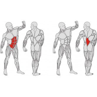 Тренажёр механотерапевтический для мышц пресса и спины Hur Rehabilitation 5310 в Новосибирске