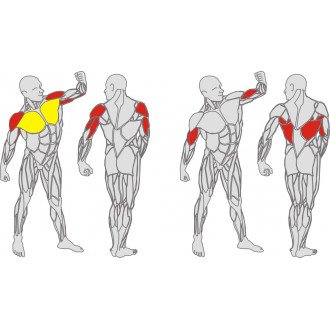 Тренажёр механотерапевтический для мышц груди, спины и рук Hur Rehabilitation 5120 в Новосибирске