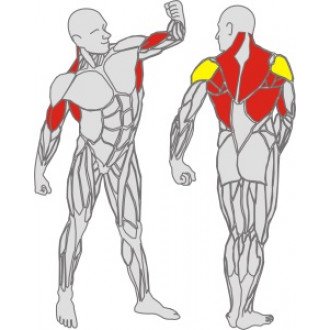 Тренажёр механотерапевтический для рук и спины Hur Rehabilitation 5175 в Новосибирске