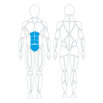 Тренажёр механотерапевтический для пресса David Abdominal Crunch G130 в Новосибирске