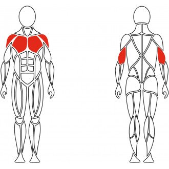 Тренажёр механотерапевтический для мышц груди David Chest Press G510 в Новосибирске