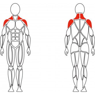 Тренажер механотерапевтический David Shoulder Concept F620 разведение рук в стороны в Новосибирске